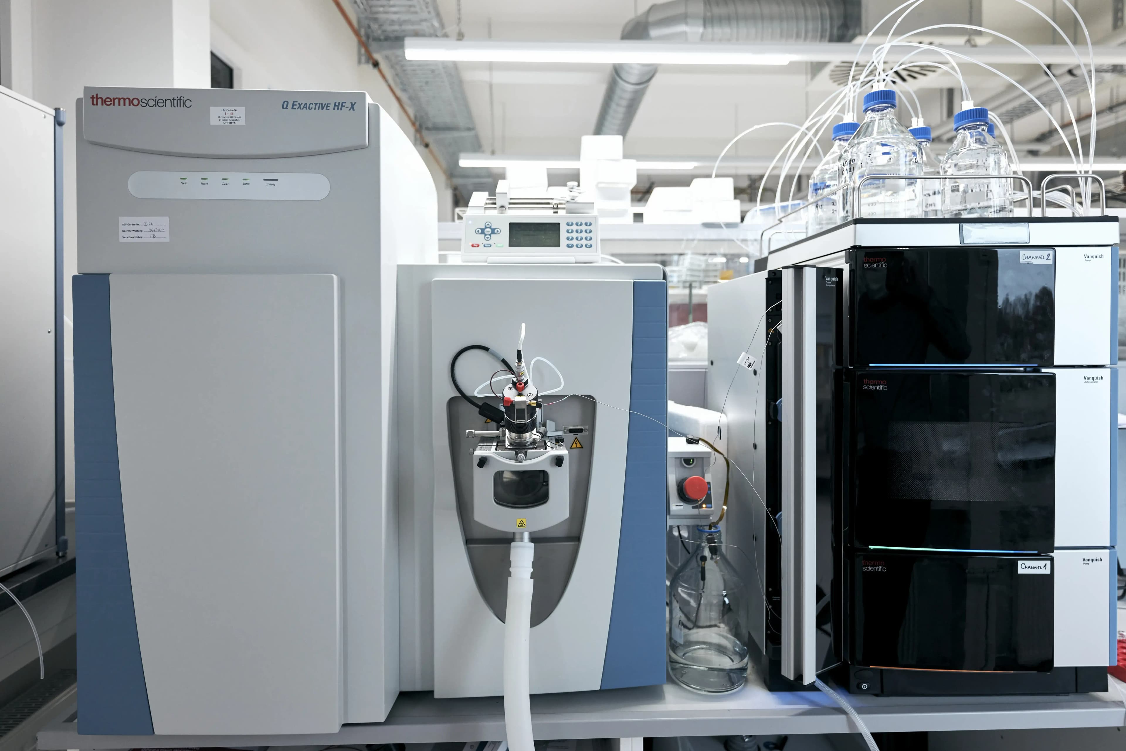 Metabolite Profiling, Identification and Structural Elucidation